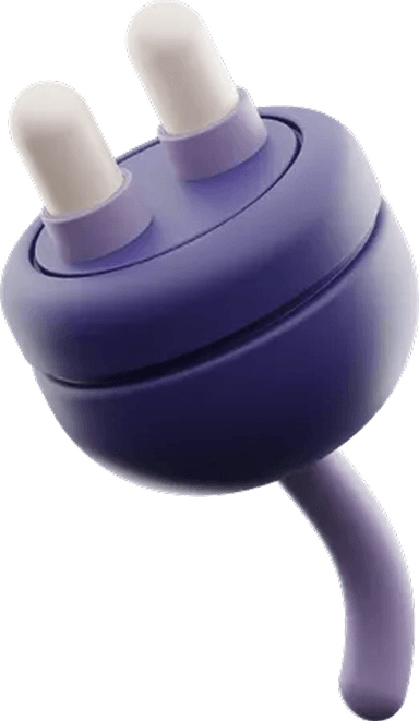 Plug